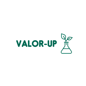 VALOR-UP